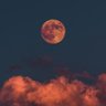 Soap's profile picture