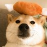 Profilbild von chxk