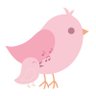 葉菜's profile picture