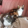 Alessandro P.'s profile picture