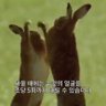 생쥐 的头像