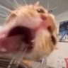 Gabs's profile picture