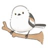 Фото профиля はっさくみかん