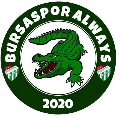 Bursaspor Always 🇹🇷's profile picture