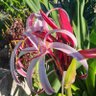 Фото профиля PettiaH