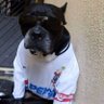eduardo's profile picture