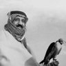 ابو فهد 的头像