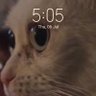 Dontgiveup's profile picture