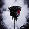 Profilbild von black_rose