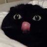 Soot sprite 的头像