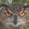 Profilbild von bbgun