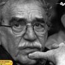 king_alknoog profil fotoğrafı