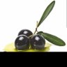 zeytin 的头像