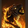 ittihad's profile picture