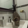 Carmela profil fotoğrafı