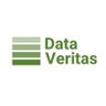 Data Veritas 的头像