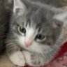 Profilbild von stinky baby