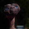 Profilbild von Josh