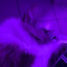 Profilbild von hidy