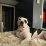 Фото профиля Brody