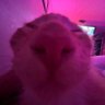 Skyprify profil fotoğrafı