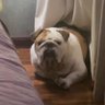 宁静致远's profile picture