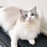 二两酒's profile picture