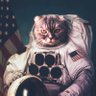 ぽん's profile picture