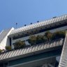 Фото профиля ナカノォシンジ