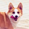 Profilbild von Jone