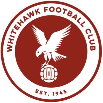 Whitehawk FC's profile picture