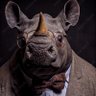 Arnold Rhinoceros profil fotoğrafı