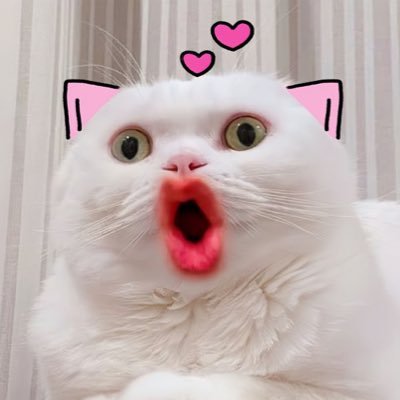 MerryBailu's profile picture
