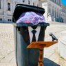 Bordalo II's profile picture