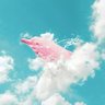 tour's profile picture