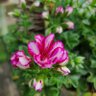 Фото профиля Cathy Edwards