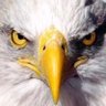 CASAB ALEJANDRO's profile picture