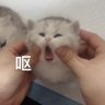 水水水 profil fotoğrafı