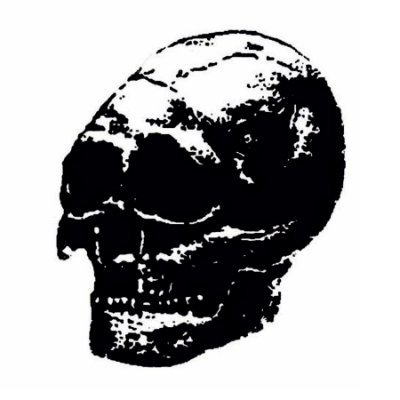 SchattigeDer's profile picture