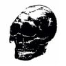 Actaeon Press's profile picture