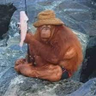 Monke Fishermen's profile picture