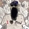 mold mode's profile picture