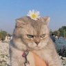 Profilbild von hello