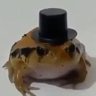 Profilbild von Marco