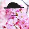 SgtPinkCherry's profile picture