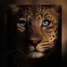 -سلامه's profile picture