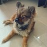 Profilbild von หมูอ้วน