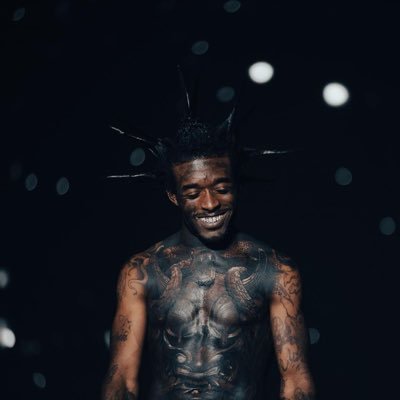 vaultofuzi's profile picture