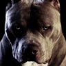 yan001 profil fotoğrafı