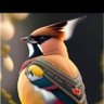 Profilbild von MickyE